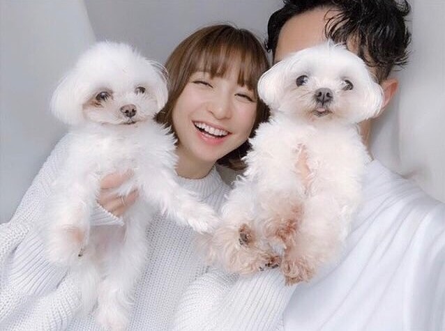 犬を抱えている篠田麻里子と旦那の写真画像