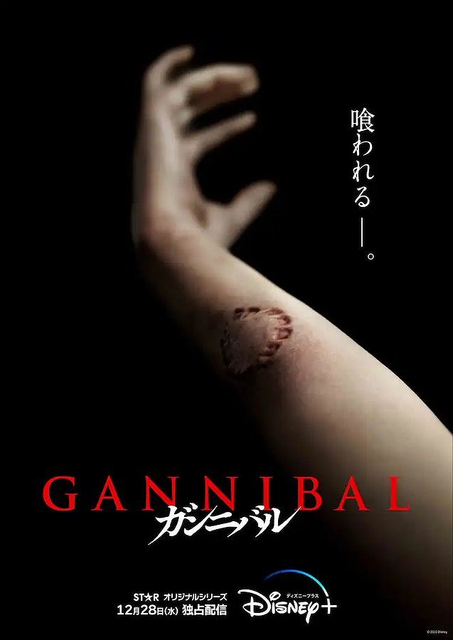 ドラマ『ガンニバル』のビジュアルポスター画像